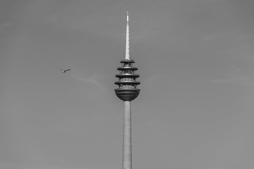 telecommunication fraud detection numbers