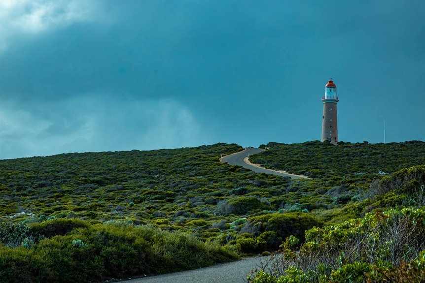 competitive expansion forecast guide