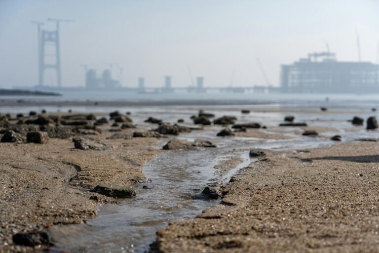 industry expansion mapping summary