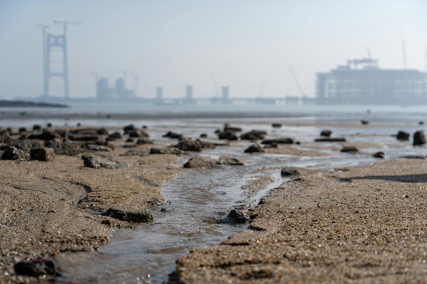 industry expansion mapping summary